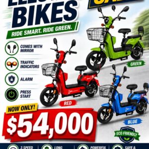 3 Speed Electric Bike